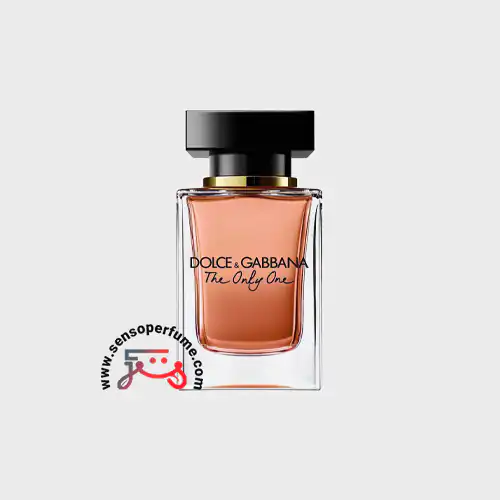 عطر ادکلن دلچه گابانا د اونلی وان